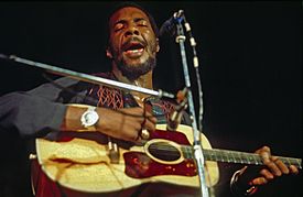 RICHIE HAVENS