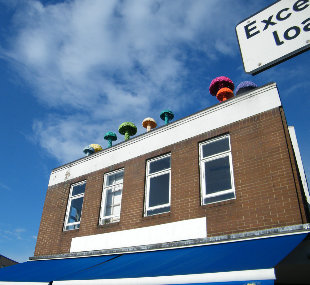 Christiaan Nagel.Fresh Mushroom growth at the top of Vyner Street, May 23rd 2013