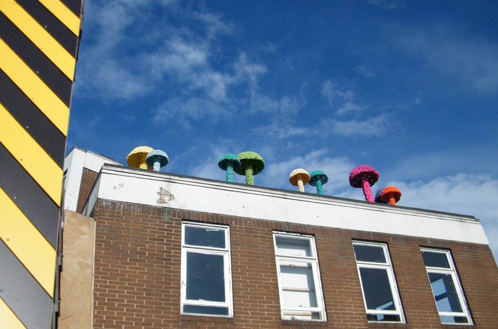 Christiaan Nagel.Fresh Mushroom growth at the top of Vyner Street, May 23rd 2013