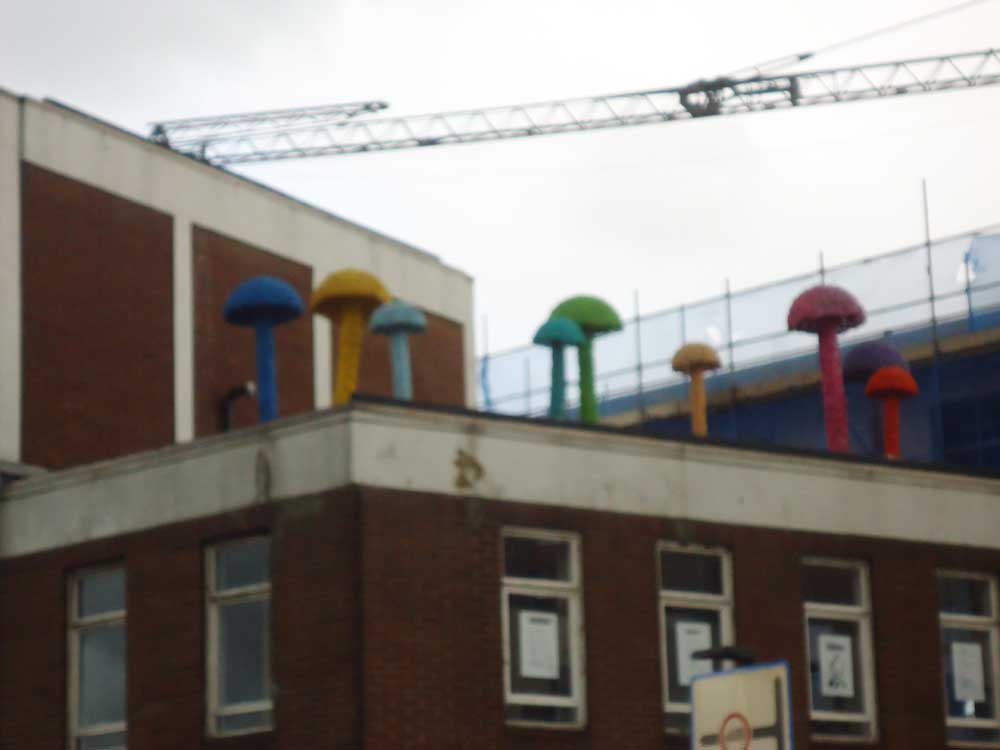 Christiaan Nagel's mushrooms, at the top of Vyner Street