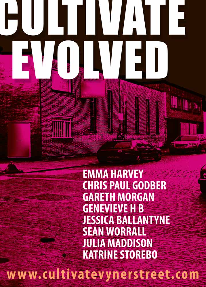 aaa_cultevolved_dec2013v2