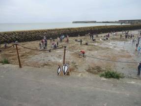 folkestone_tri62