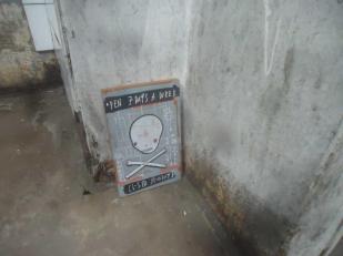 Priceless, Skeleton Cardboard at Play