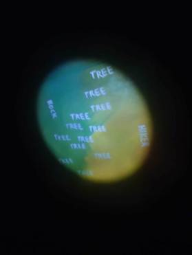 Pablo Delgado - Opens Tomorrow Morning