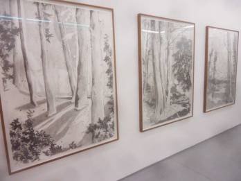 Laura Bruce @ New Art Projects (Oct 15)