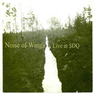 noiseofwings_cover