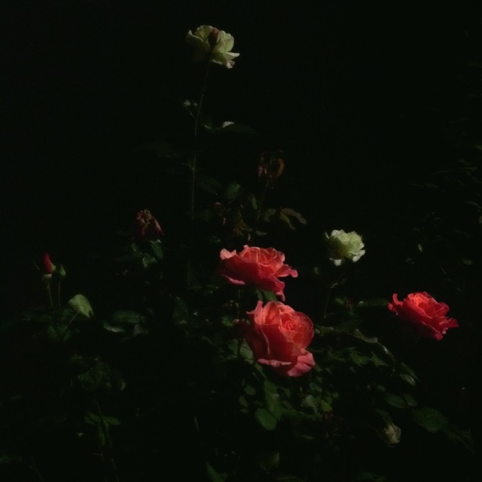 ORGAN: Left With Pictures back with their beautiful orchestral pop. Rose tinted pictures of Hackney? Christos Tolera opens at BSMT&nbsp;space…