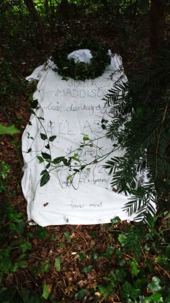 ON THE BRINK - Julia Maddison