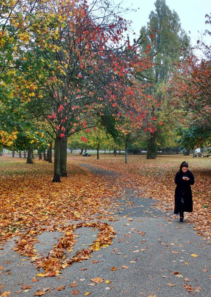 A Leaf - 2016. She Didn't Even Notice. (sw)