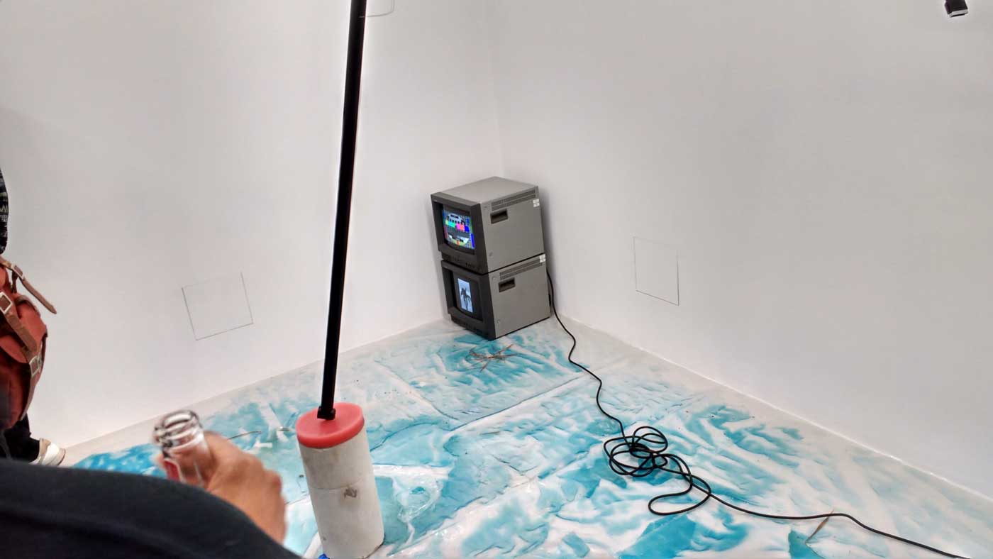 cacatopia_jan2017_12