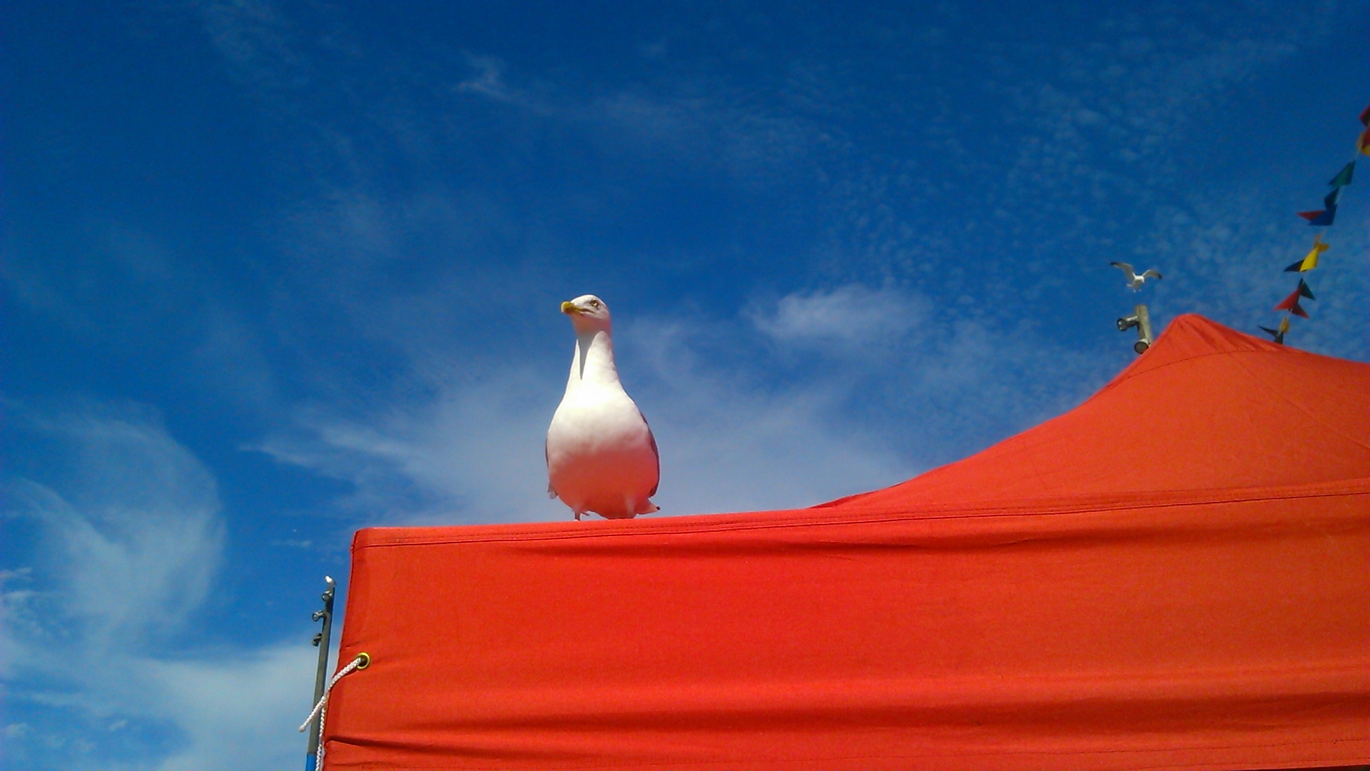 x_acbfhastings16_086