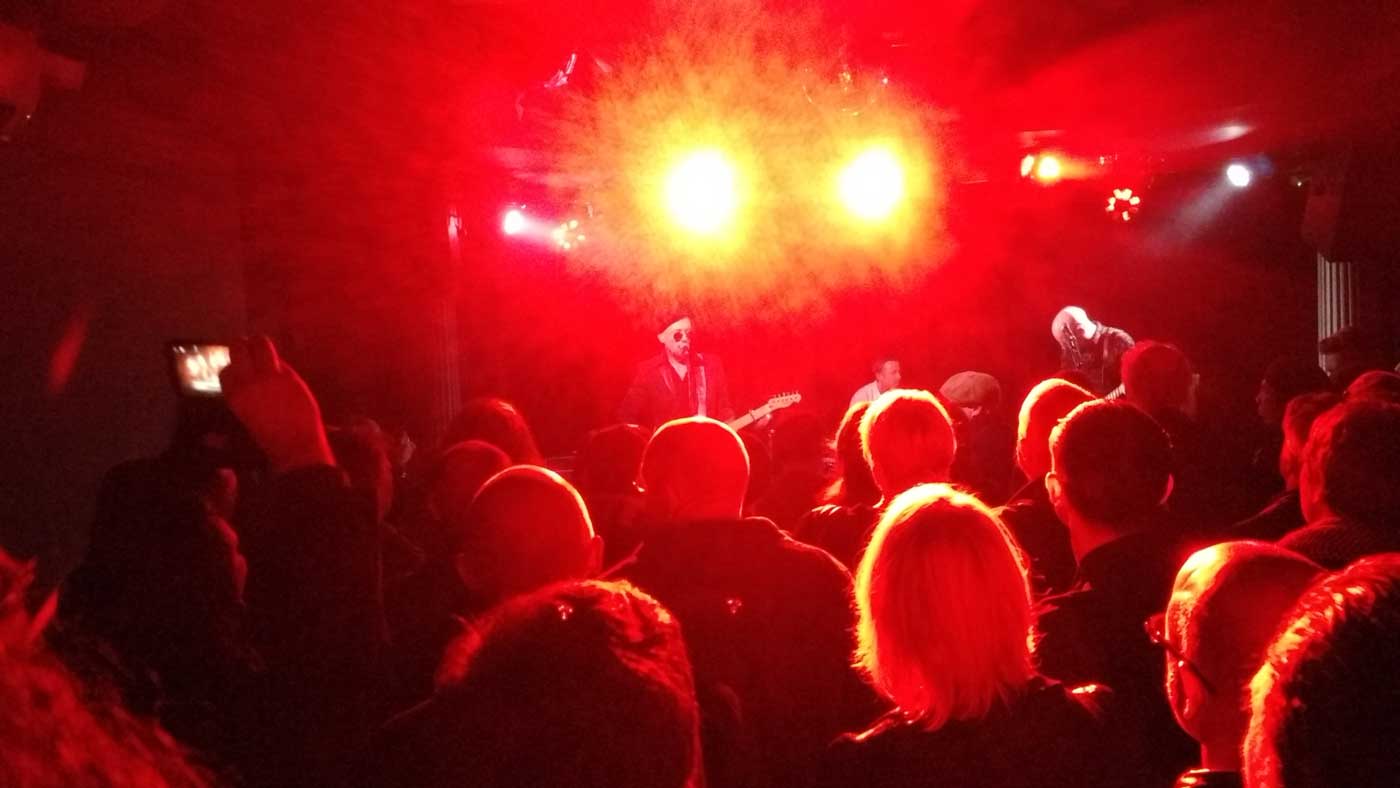 miraculous_rats_23mar17_6