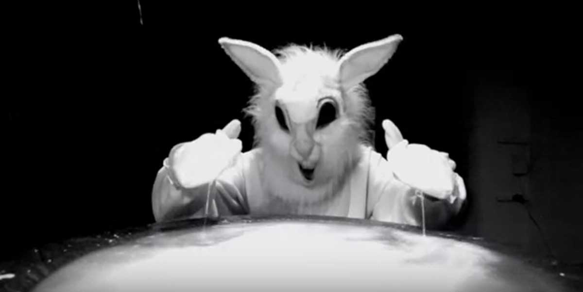 vultures_suicide_video_3