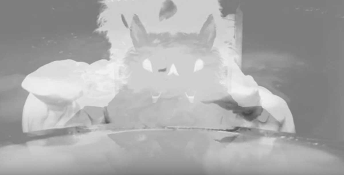 vultures_suicide_video_6