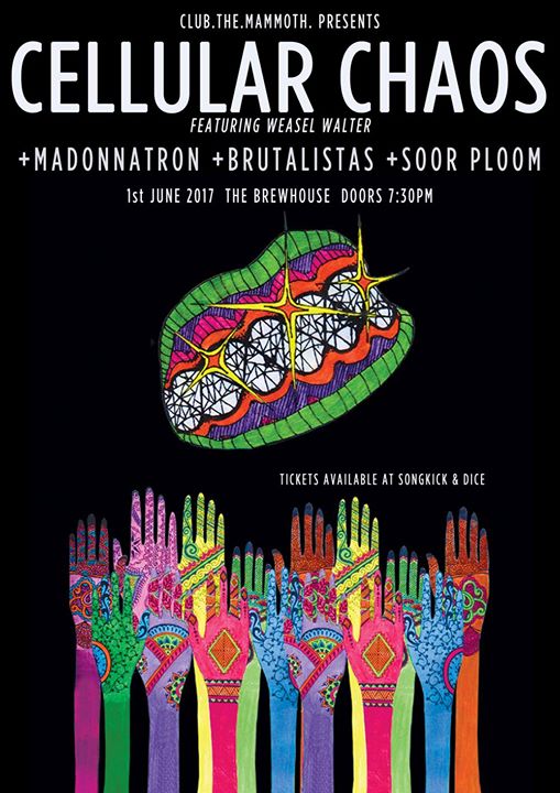 ORGAN THING: Cellular Chaos hit town today, town being London, today being Thursday, you’ve been&nbsp;alerted…