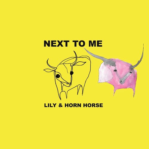 lily_horn_cover