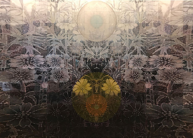 bella_easton_bearspace