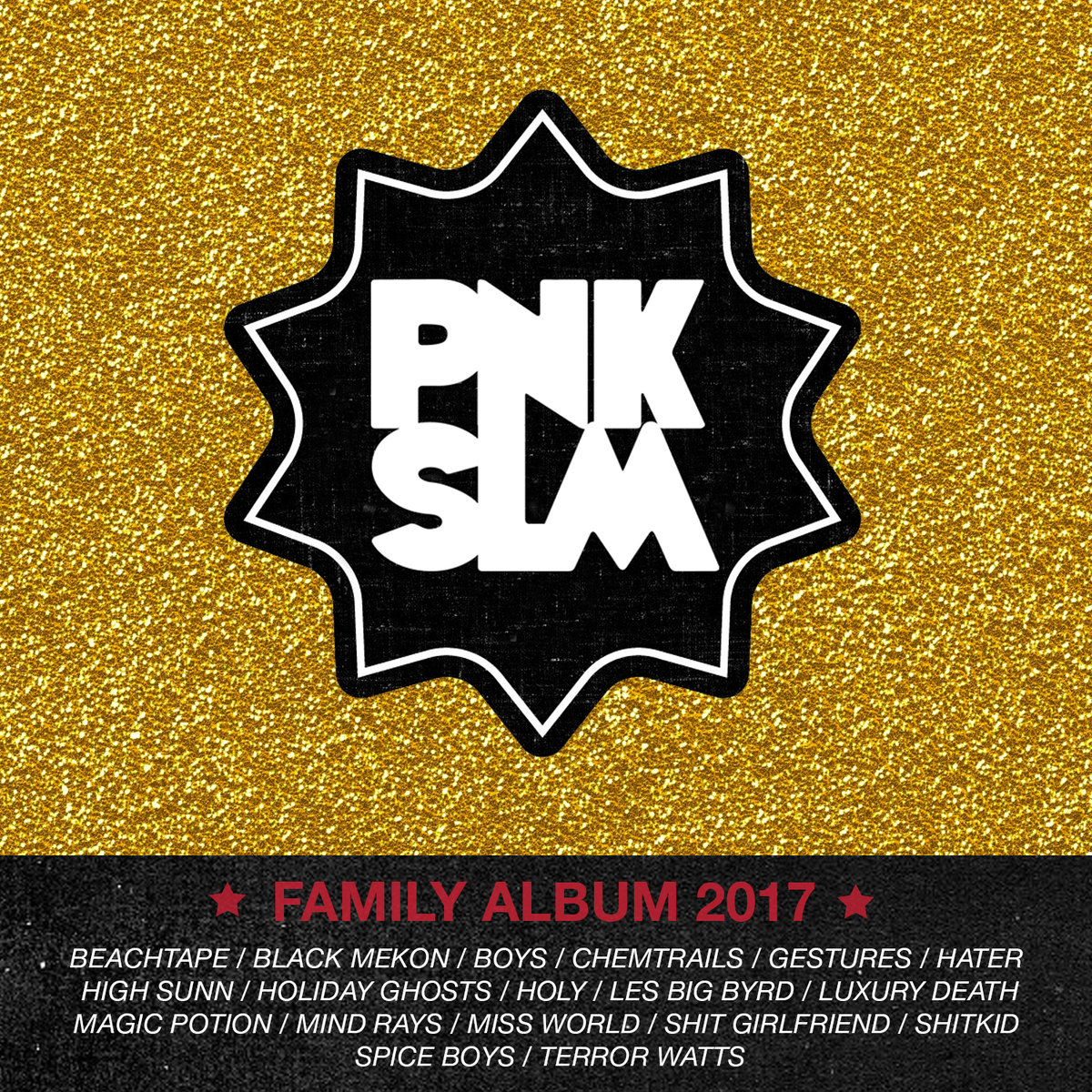 pnkslm_2017