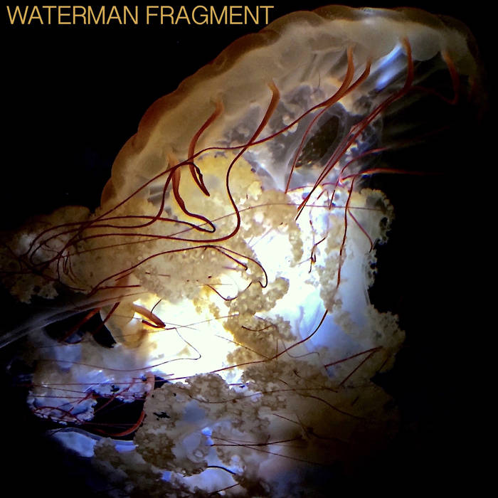 waterman_fragment