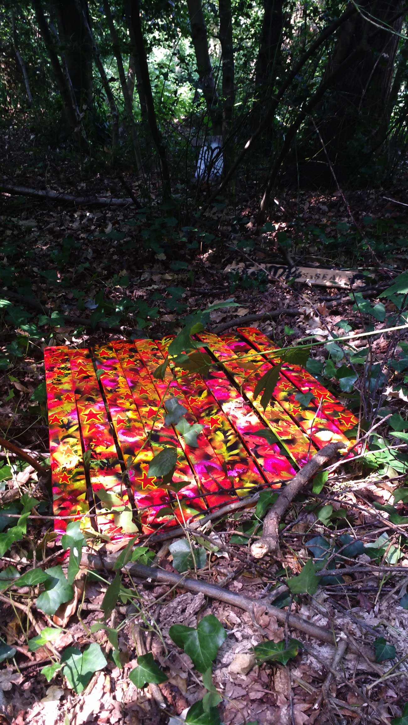 wild_leytonstone18_4