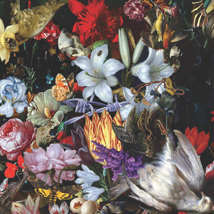 ORGAN THING: “This is our new song Chaff” said a Nightingale, and as always, those Nightingales are well worth waiting&nbsp;for…