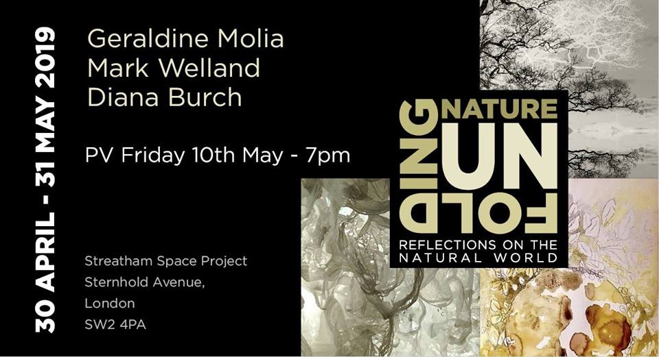 unfolding_nature_flyer