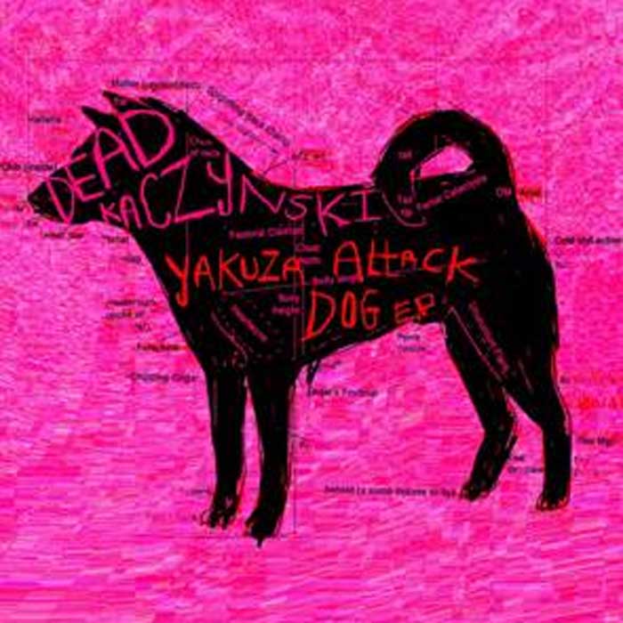 dead_kaczynski_cover