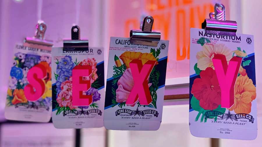 dave_buonaguidi_nelly