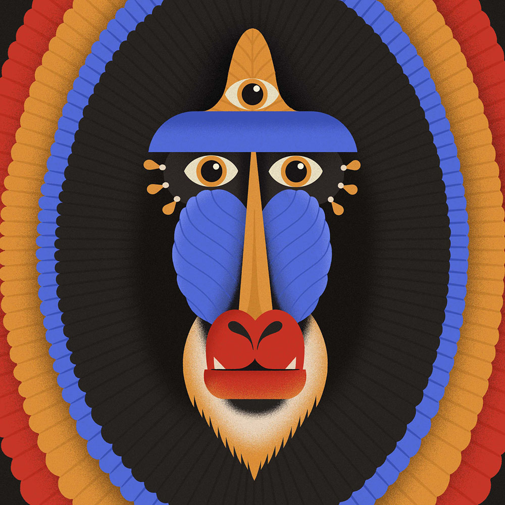 ORGAN THING: Javva, polyrhythmic foundations inspired by musical traditions from all around the world, Other Rock you might&nbsp;say…