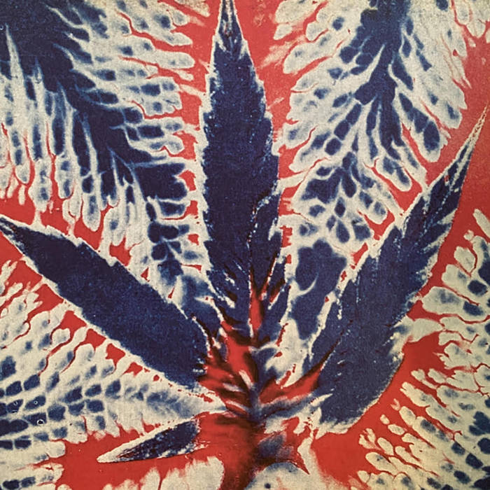 ORGAN THING: Sonic Youth’s Thurston Moore has announced a new album. hear the new single, released on the Summer Solstice,&nbsp;here…