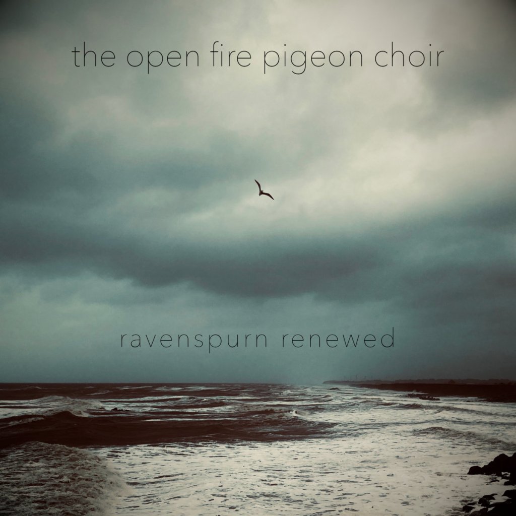 ORGAN THING: “This is some of the loveliest music I’ve ever heard” so said William D. Drake. Check out The Open Fire Pigeon&nbsp;Choir…