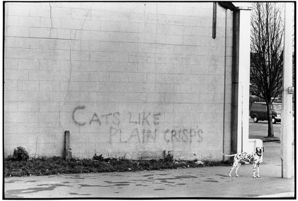ORGAN THING: Cats Like Plain Crisps – Brilliant Photos Of Great Graffiti In 1970s&nbsp;London…