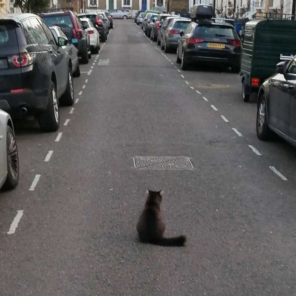 ORGAN THING: Yet another so called street artist getting “his people” to ask us to remove old coverage from the Organ&nbsp;pages…