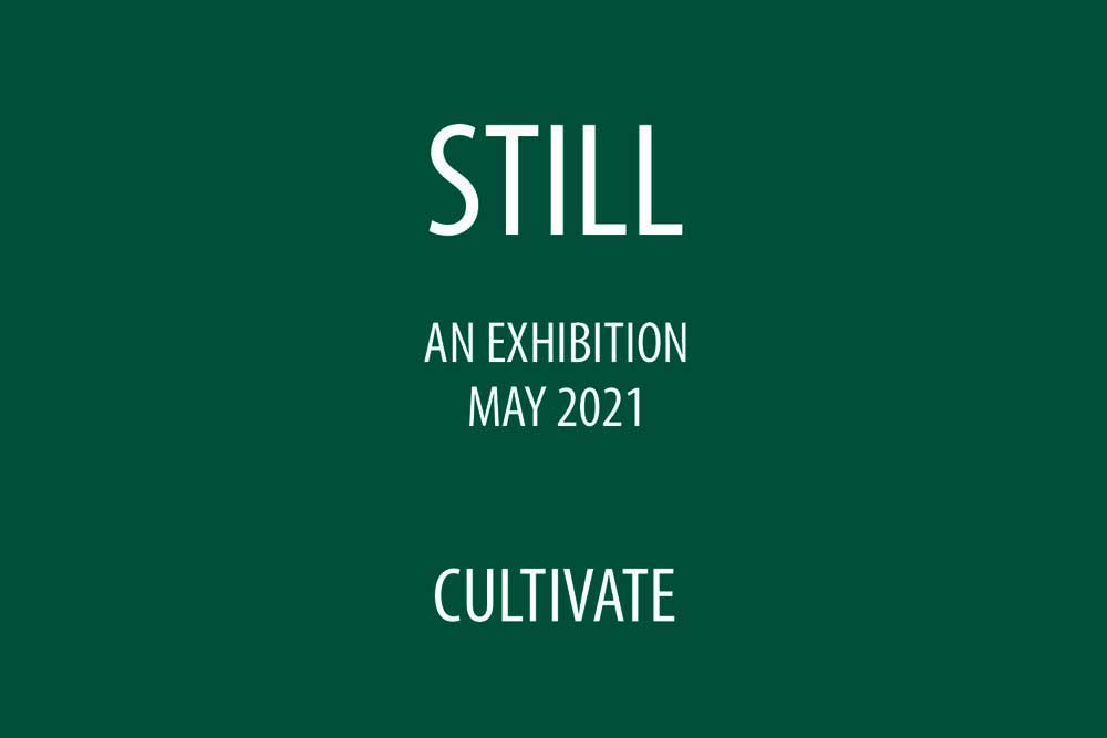 Cultivate presents Still – An on-line art&nbsp;exhibition…