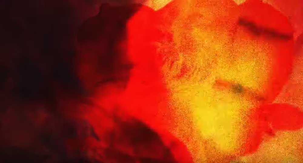 ORGAN THING: hackdepicciotto – Alexander Hacke, Einstüzende Neubauten, Crime & the City Solution and Danielle de Picciotto, co-founder of Love Parade, Crime & the City Solution, have announced details of their first album for&nbsp;Mute…