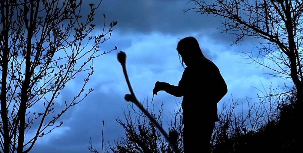 ORGAN THING: Youth and Penny Rimbaud announce collaboration album Corpus&nbsp;Mei…