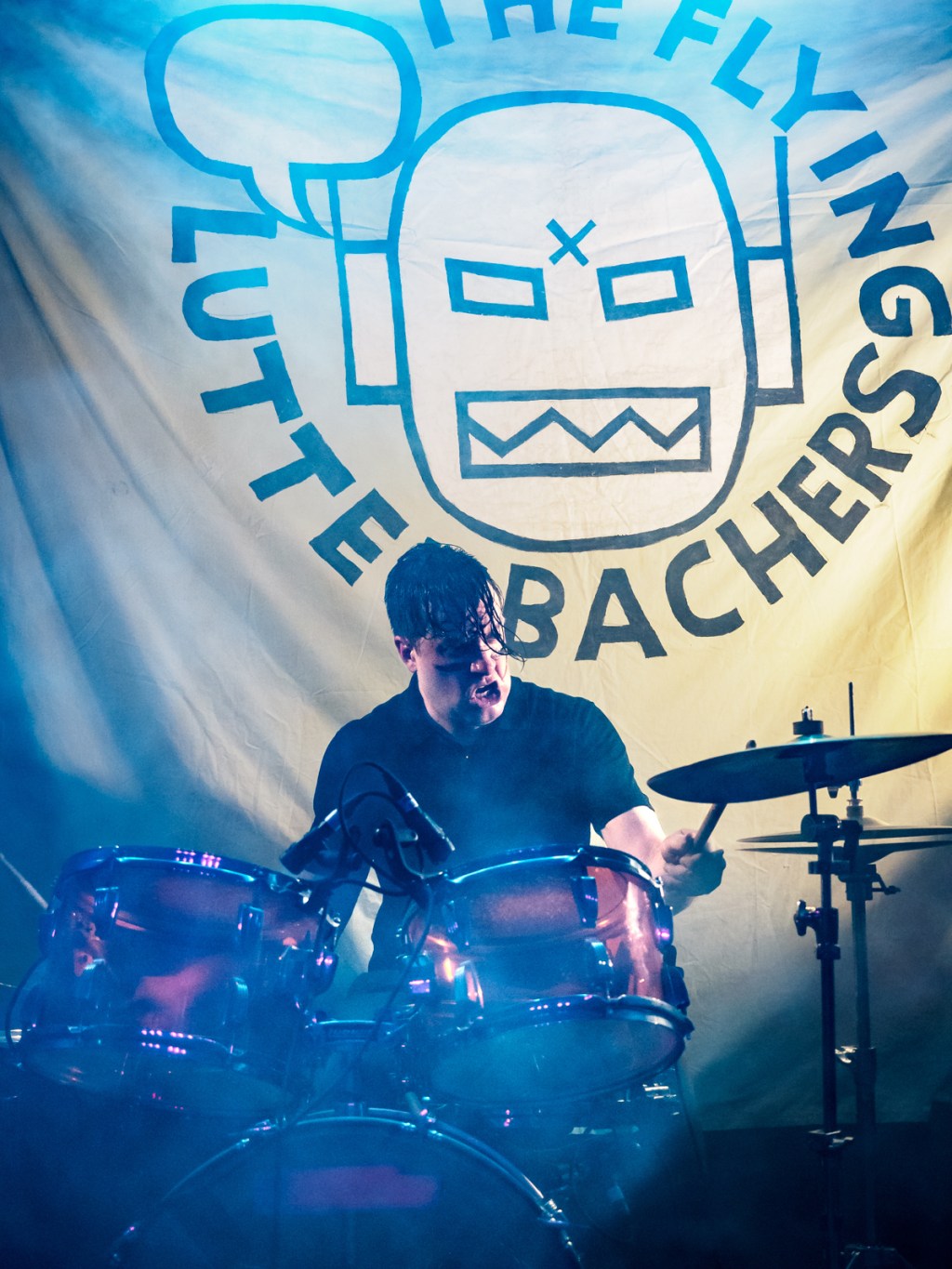 ORGAN THING: A new Chicago version of the Flying Luttenbachers with various Cheer Accidents, Lovely Little Girls, people from Guzzlemug and&nbsp;such…