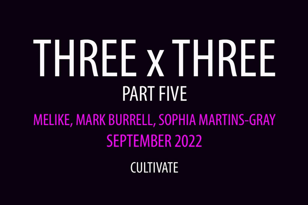 Cultivate presents Three x Three (Part Five) – an online art exhibition featuring Melike, Mark Burrell and Sofia Martins&nbsp;Gray…