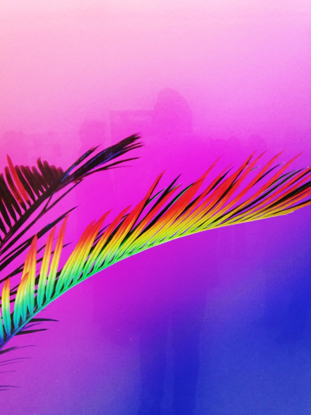 ORGAN THING: Off we go then, the art year kicks off with a positive start as Cacotopia 07 opens at East London’s Annka Kultys&nbsp;Gallery…