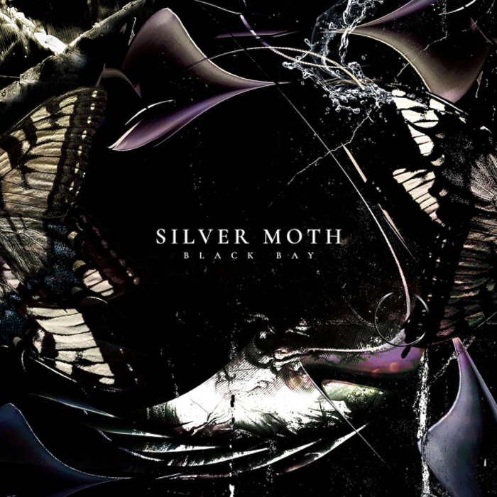 ORGAN THING: Silver Moth, a new collective involving Stuart Braithwaite of Mogwai have today announce their debut album, hear a rather warm rather rich first taste right&nbsp;here…