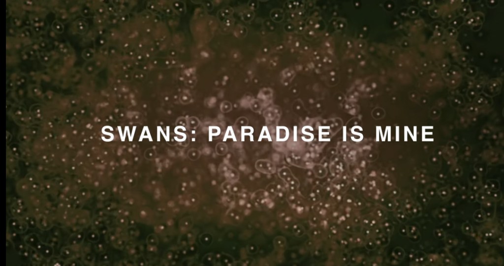 ORGAN THING: Swans have announced details of their sixteenth studio album, The Beggar, hear a first taste&nbsp;here…