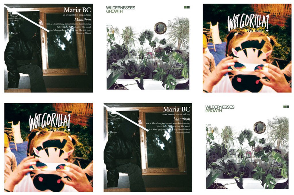 ORGAN: Albums, albums, albums – Wildernesses and a rather fine debut that’s about feelings, dynamics, interactions, meanwhile a Maria B.C album and the post hardcore math rock noise of Wot&nbsp;Gorilla…