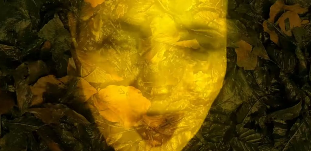 ORGAN THING: Some new Spratleys and magnificent it is. A first almost fragile taste of something blooming and splendid, a first taste and a sparkling new offering from their upcoming album,&nbsp;Bloom…