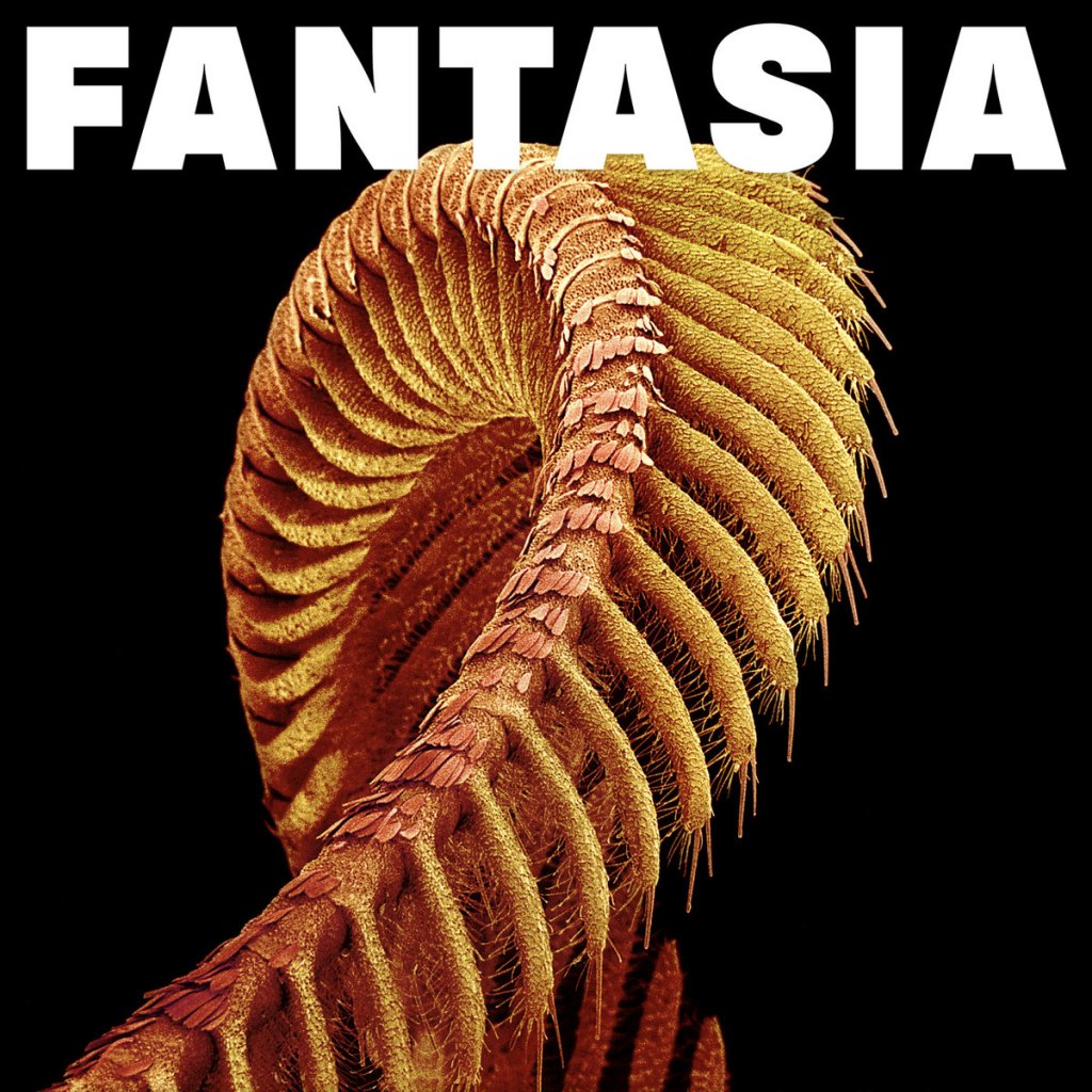 ORGAN THING: Slift do it again, this is maximalist Prog; once again, as it was last time, Fantasia will be one of the albums of the year…  