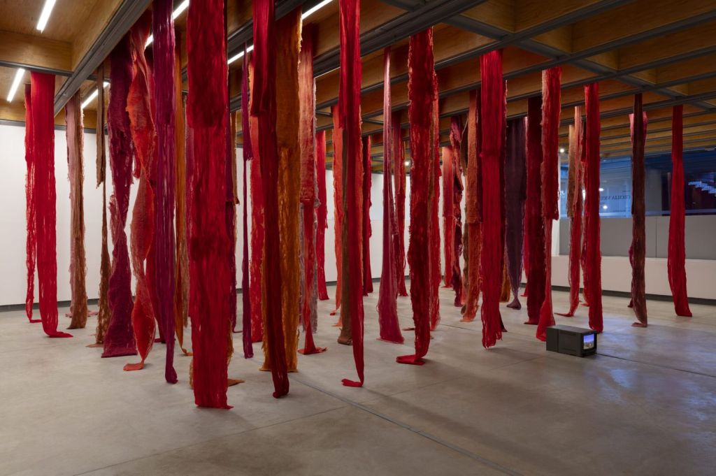 ORGAN: Five Recommended London Art Things – Martina O’Shea and Anne Robinson get Out of Line at Five Years, Pushka’s Takeaway at Canal Boat Contemporary, Chisenhale Open Studios, Solidarity on the Streets at Four Corners, Cecilia Vicuña at Whitechapel Gallery&nbsp;and…
